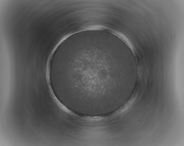 X0000113120851200909041304