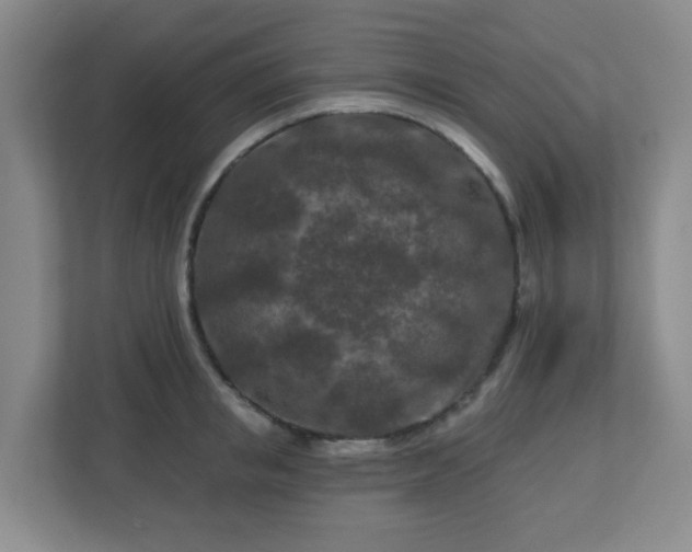 X0000113120853200909041304