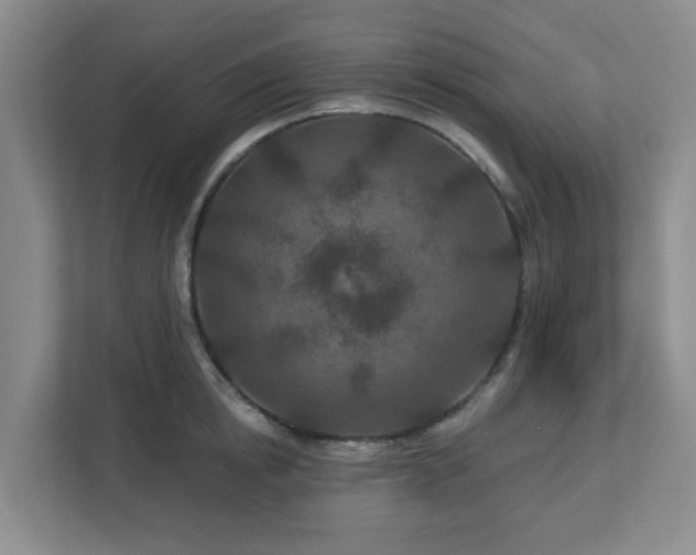 X0000113120854200909041304