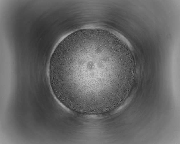 X0000113120855200909041304