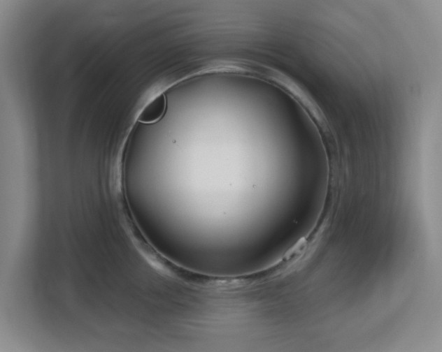 X0000113120858200909041304