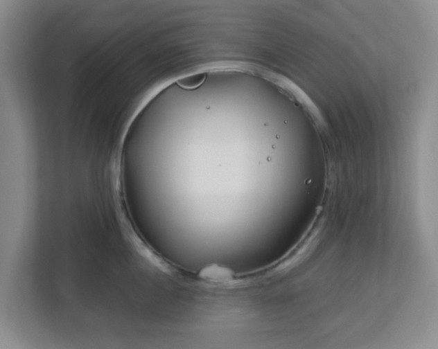 X0000113120860200909041304