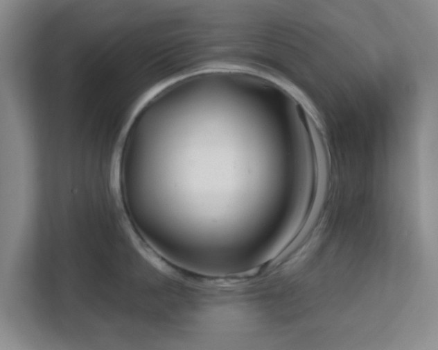 X0000113120862200909041304