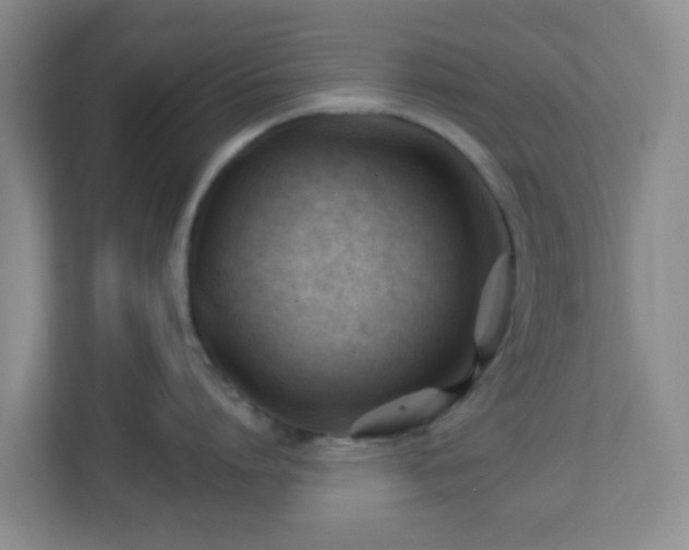 X0000113120864200909041305