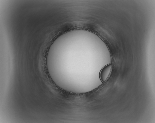 X0000113120865200909041304