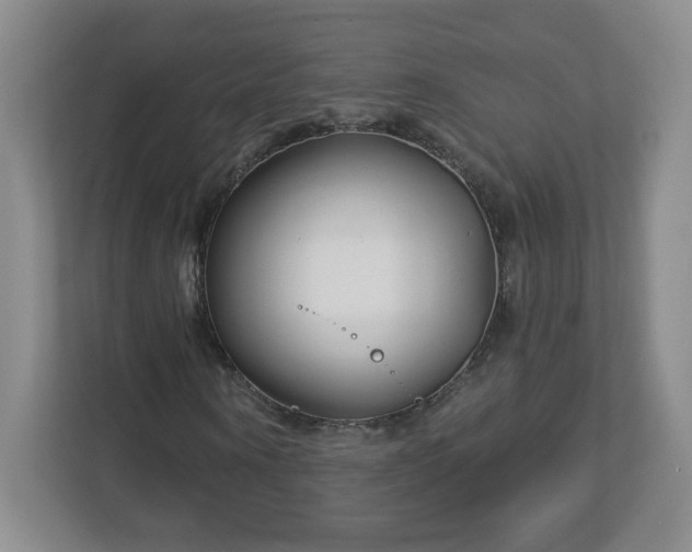 X0000113120866200909041304