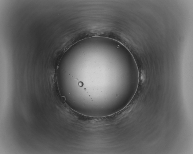 X0000113120867200909041304