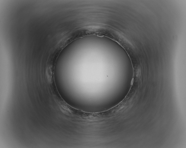 X0000113120868200909041304