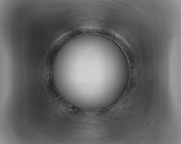 X0000113120870200909041304