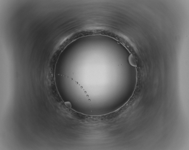 X0000113120871200909041304