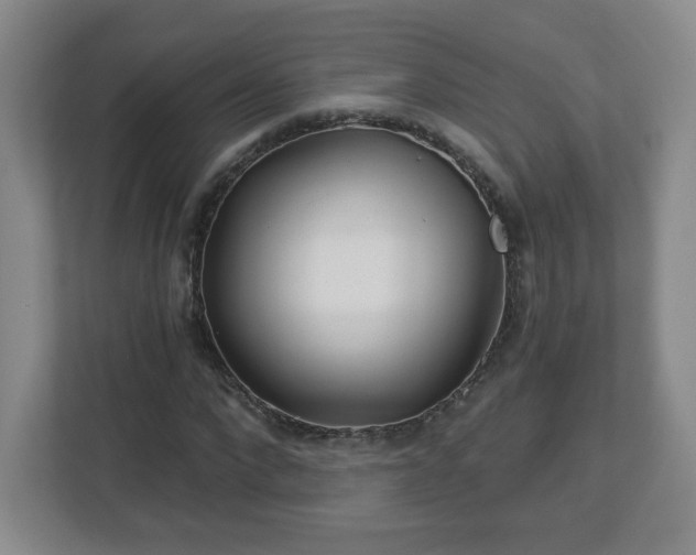 X0000113120872200909041304