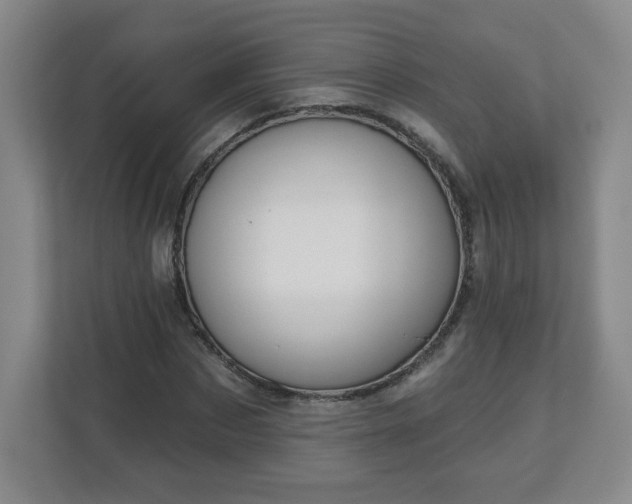 X0000113120873200909041304