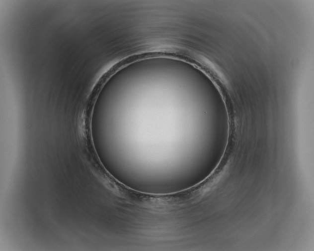 X0000113120875200909041304