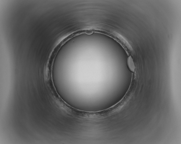 X0000113120876200909041304