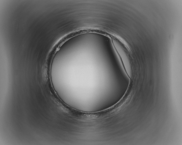 X0000113120878200909041304