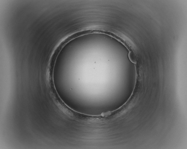 X0000113120880200909041304