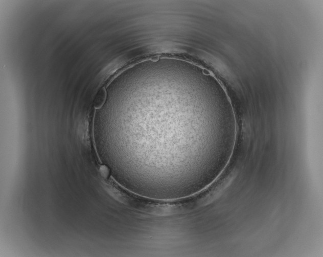 X0000113120881200909041304