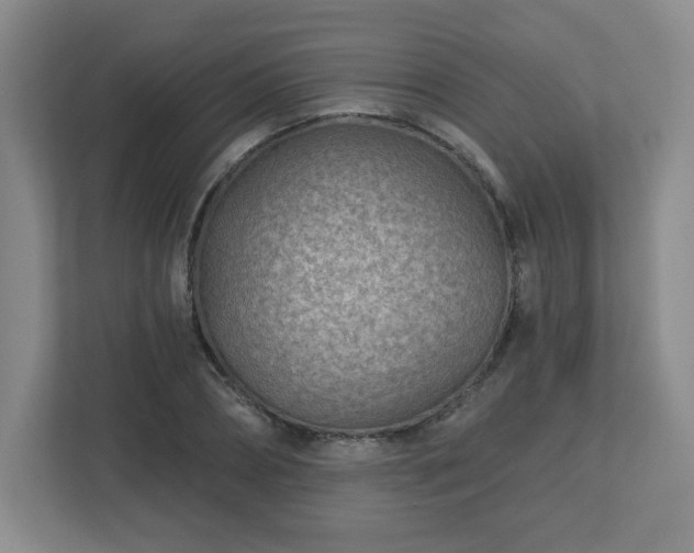 X0000113120882200909041304