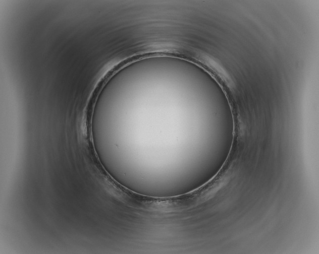 X0000113120883200909041304