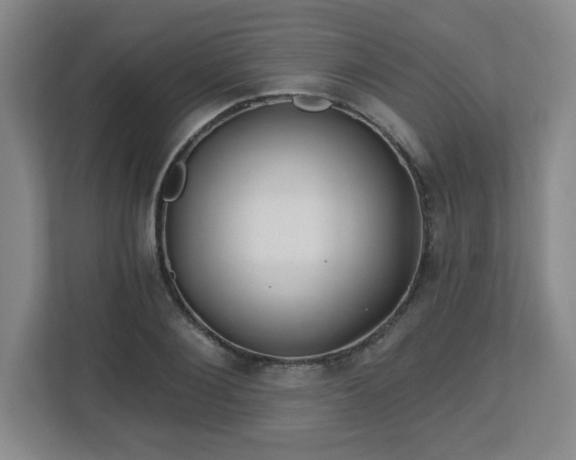 X0000113120884200909041304