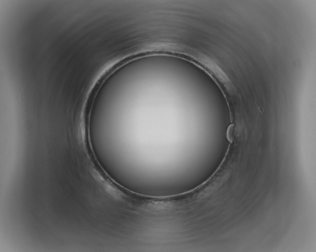 X0000113120888200909041304