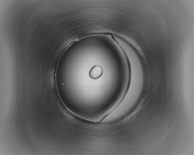 X0000113120889200909041304