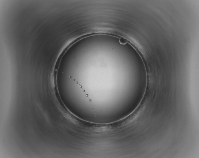 X0000113120891200909041304