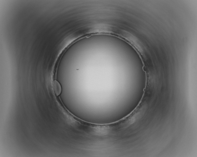 X0000113120893200909041304