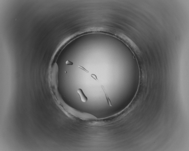 X0000113120894200909041304