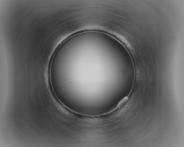 X0000113120895200909041303