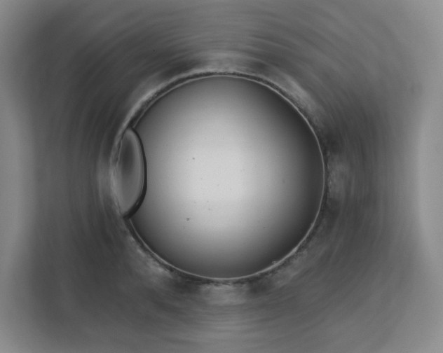 X0000113120896200909041303