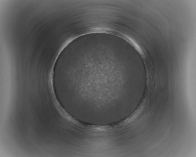 X0000113120899200909041303