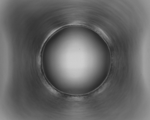 X0000113120900200909041303