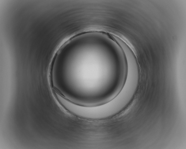 X0000113120901200909041303