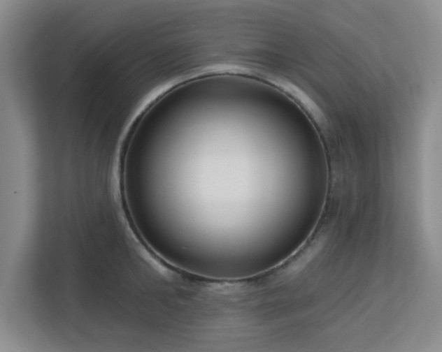 X0000113120902200909041303