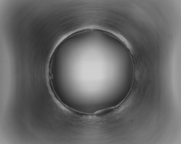 X0000113120903200909041303