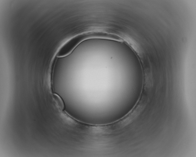 X0000113120904200909041303