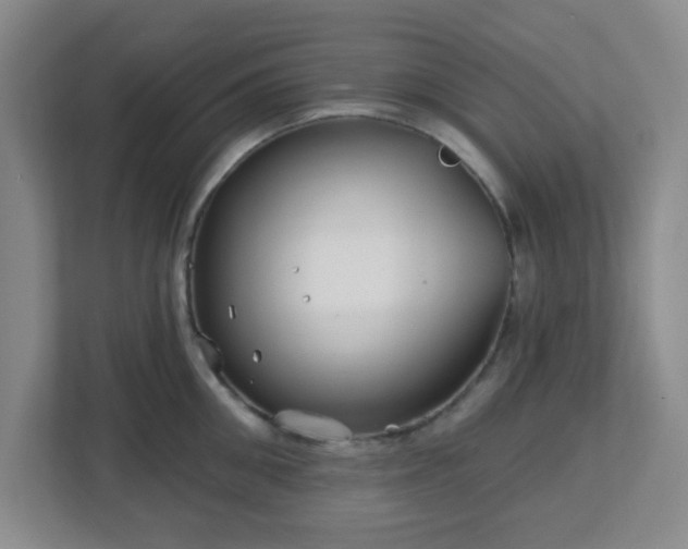 X0000113120906200909041303