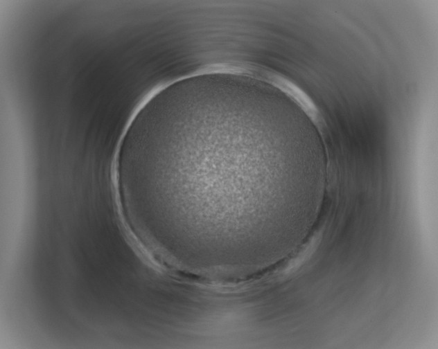 X0000113120907200909041303