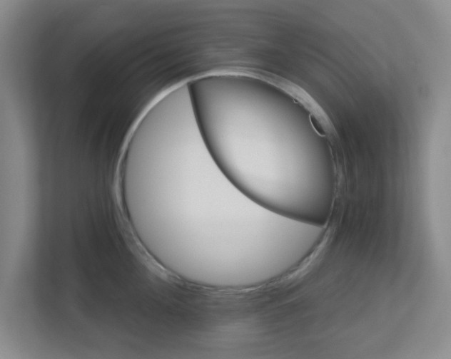 X0000113120908200909041303