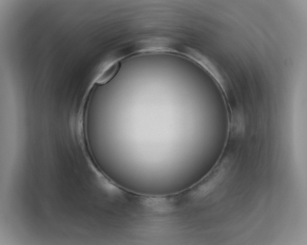 X0000113120909200909041303