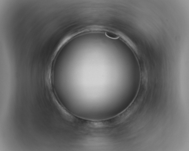 X0000113120911200909041303