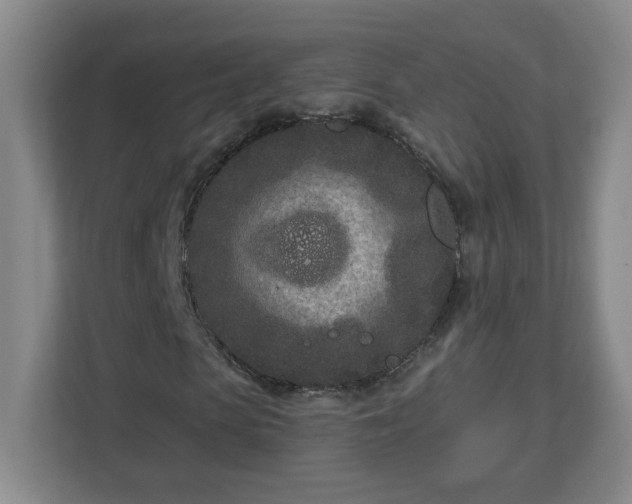 X0000113120913200909041303