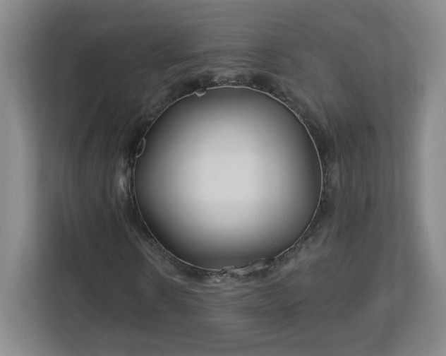 X0000113120914200909041303