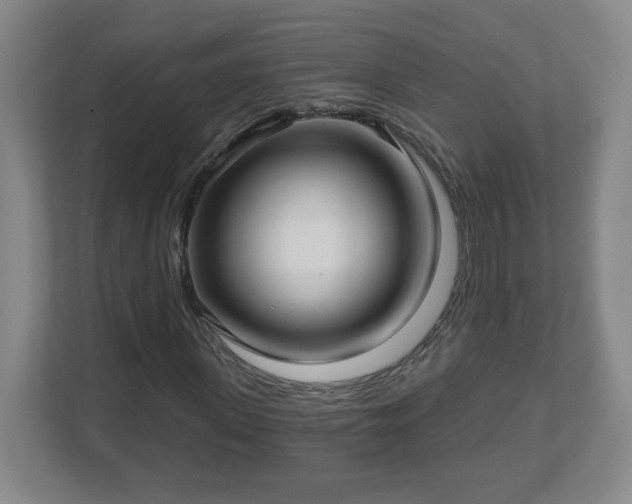 X0000113120915200909041303