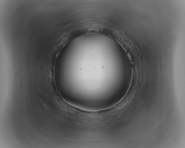 X0000113120916200909041303