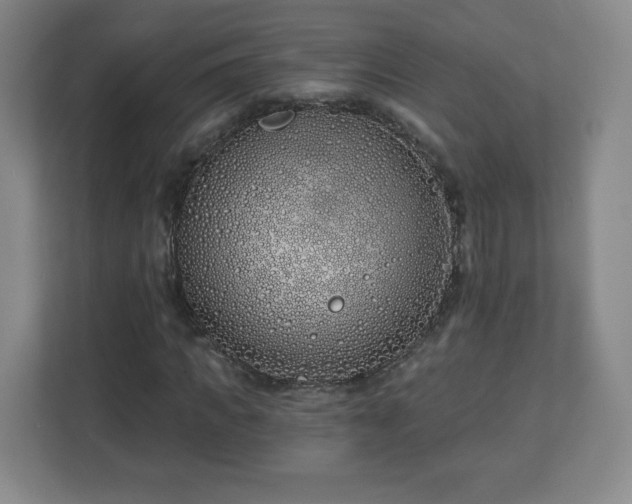 X0000113120917200909041303