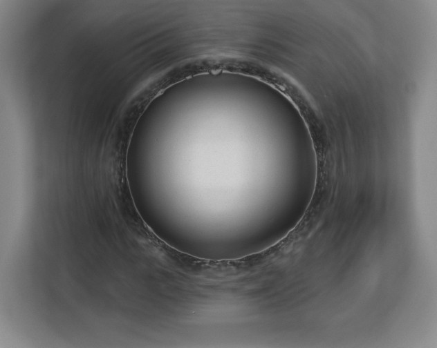 X0000113120919200909041303