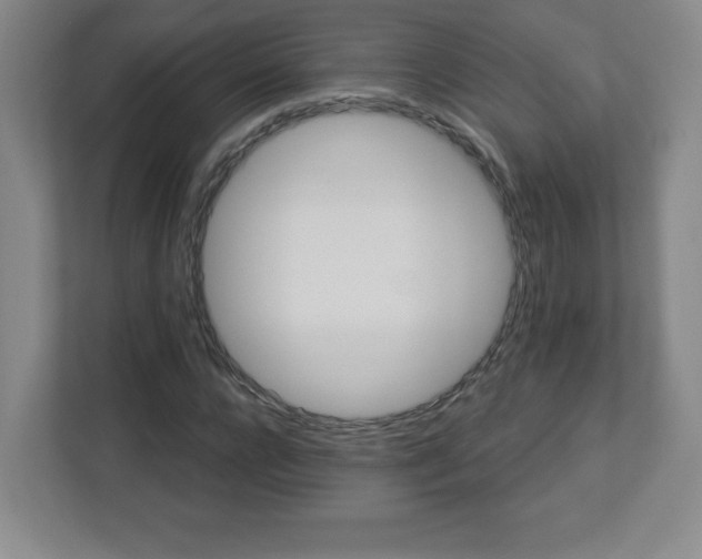 X0000113120920200909041303