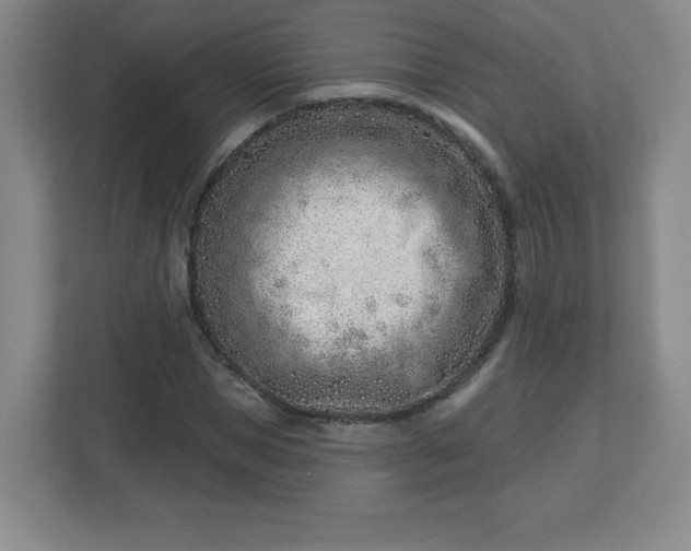 X0000113120921200909041303